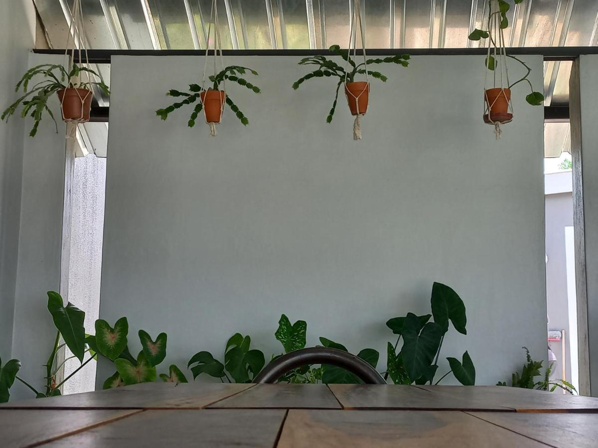 רונדו Urban Farm Haus Guesthouse מראה חיצוני תמונה
