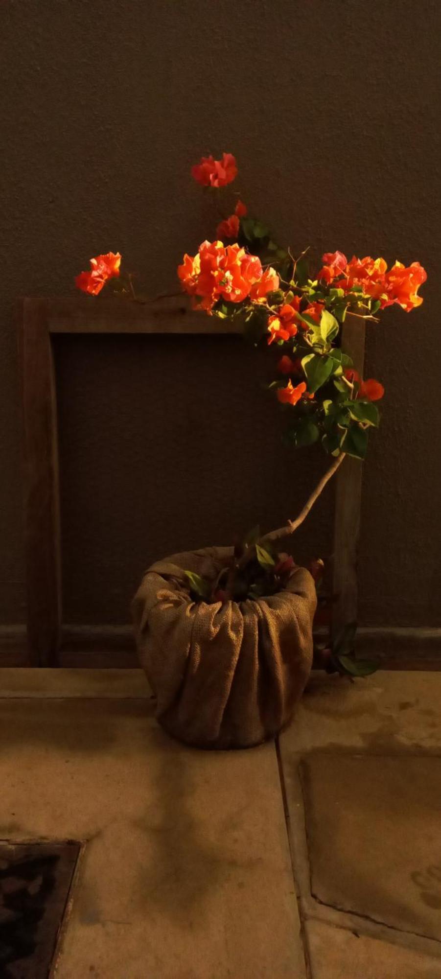 רונדו Urban Farm Haus Guesthouse מראה חיצוני תמונה
